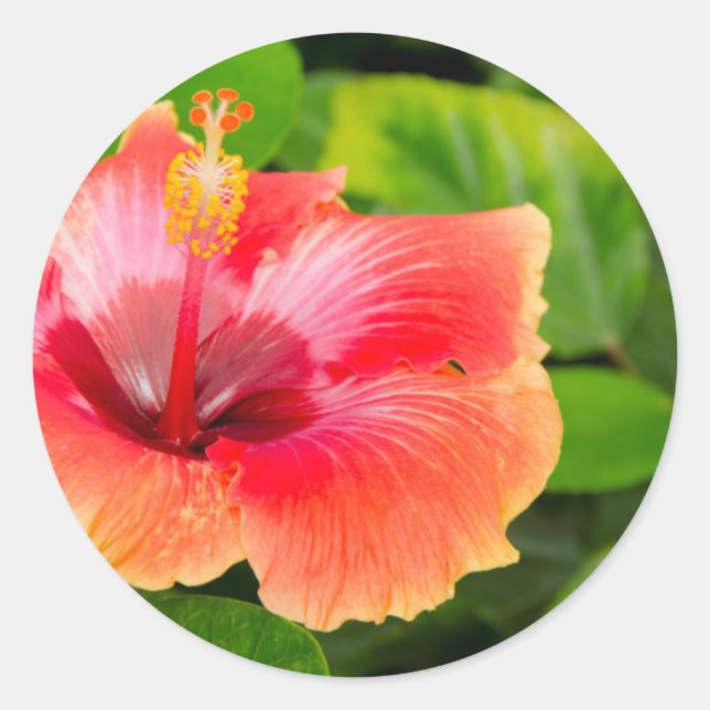 USA, Alabama, Theodore Near Mobile 4 Classic Round Sticker (Front)