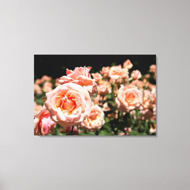 USA, Alabama, Theodore Near Mobile 5 Canvas Print (Front)