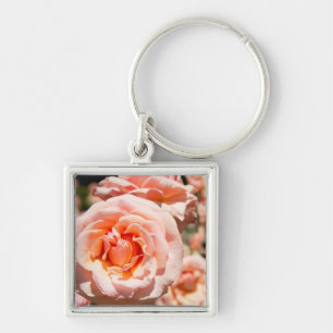 USA, Alabama, Theodore Near Mobile 5 Keychain