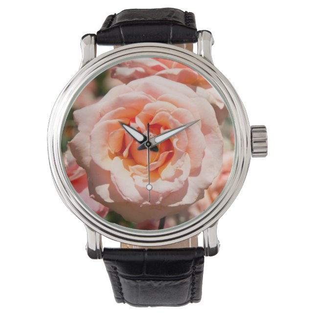 USA, Alabama, Theodore Near Mobile 5 Watch (Front)