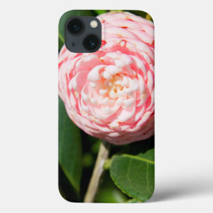 USA, Alabama, Theodore Near Mobile iPhone 13 Case