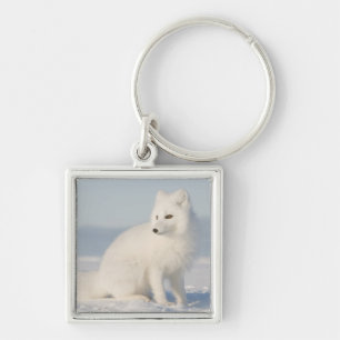 USA, Alaska, 1002 Coastal Plain of the Arctic 5 Keychain