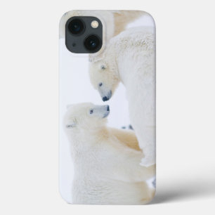 USA, Alaska, 1002 Coastal Plain of the Arctic iPhone 13 Case