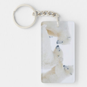 USA, Alaska, 1002 Coastal Plain of the Arctic Keychain