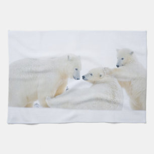 USA, Alaska, 1002 Coastal Plain of the Arctic Kitchen Towel