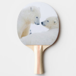 USA, Alaska, 1002 Coastal Plain of the Arctic Ping Pong Paddle