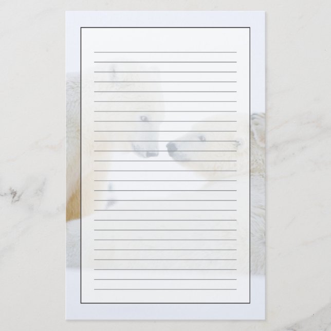 USA, Alaska, 1002 Coastal Plain of the Arctic Stationery (Front)