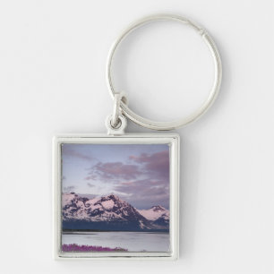 USA, Alaska, Alsek River Valley. View of Alsek Keychain