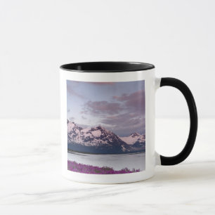 USA, Alaska, Alsek River Valley. View of Alsek Mug