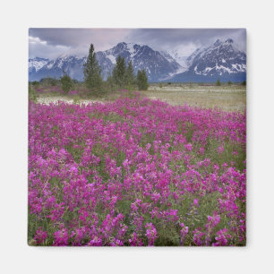 USA, Alaska, Alsek River Valley. View of Magnet