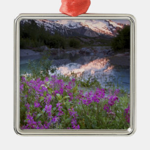 USA, Alaska, Alsek-Tatshenshini Wilderness. Metal Ornament