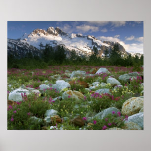 USA, Alaska, Alsek-Tatshenshini Wilderness. View Poster