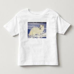 USA, Alaska. Arctic fox in winter coat Toddler T-shirt