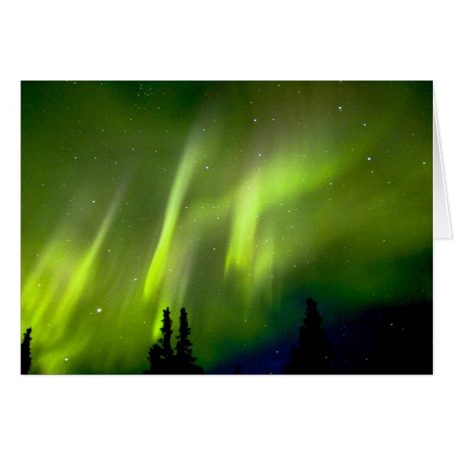 USA, Alaska, Chena Hot Springs. Aurora 3 (Devant horizontal)