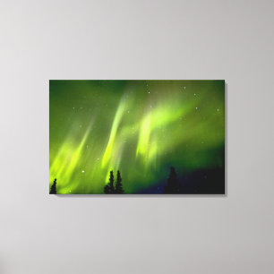 USA, Alaska, Chena Hot Springs. Aurora 3 Canvas Print