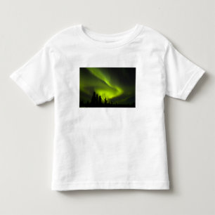 USA, Alaska, Chena Hot Springs. Aurora Borealis 2 Toddler T-shirt