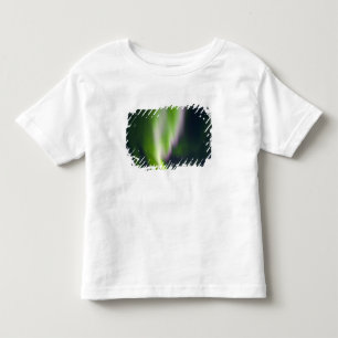 USA, Alaska, Chena Hot Springs. Aurora Borealis Toddler T-shirt