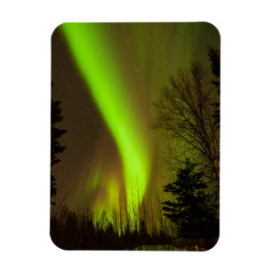 USA, Alaska, Chena Hot Springs. View Of Aurora Magnet