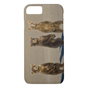 USA. Alaska. Coastal Brown Bear cubs iPhone 8/7 Case