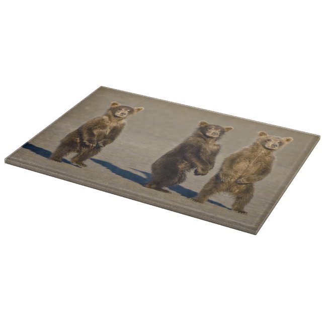 USA. Alaska. Coastal Brown Bear cubs Cutting Board (Corner)