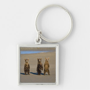 USA. Alaska. Coastal Brown Bear cubs Keychain