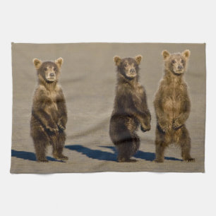 USA. Alaska. Coastal Brown Bear cubs Kitchen Towel