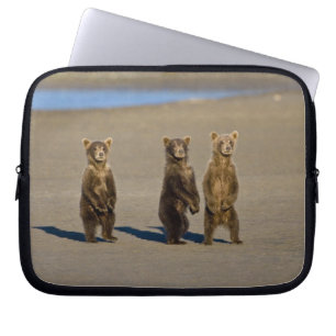USA. Alaska. Coastal Brown Bear cubs Laptop Sleeve