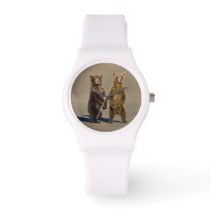 USA. Alaska. Coastal Brown Bear cubs Watch