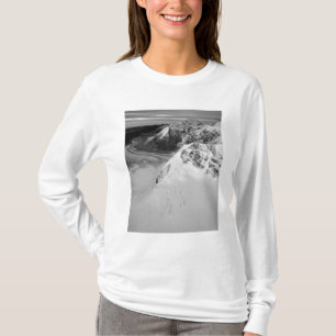 USA, Alaska, Denali National Park, Aerial view T-Shirt