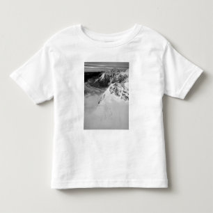 USA, Alaska, Denali National Park, Aerial view Toddler T-shirt