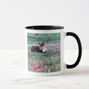 USA, Alaska, Denali National Park, Caribou Mug