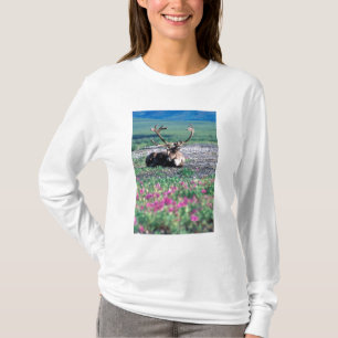 USA, Alaska, Denali National Park, Caribou T-Shirt
