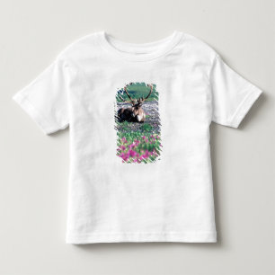 USA, Alaska, Denali National Park, Caribou Toddler T-shirt