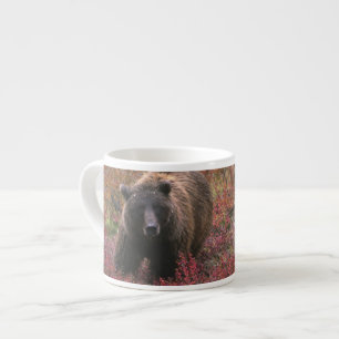 USA, Alaska, Denali National Park. Grizzly bear Espresso Cup