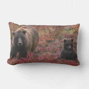 USA, Alaska, Denali National Park. Grizzly bear Lumbar Pillow
