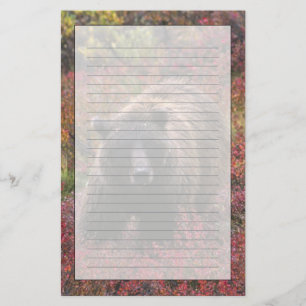 USA, Alaska, Denali National Park. Grizzly bear Stationery