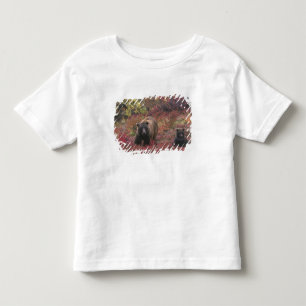 USA, Alaska, Denali National Park. Grizzly bear Toddler T-shirt