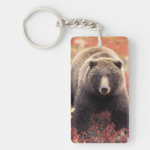 USA, Alaska, Denali NP, female Grizzly Bear Keychain
