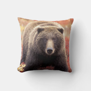 USA, Alaska, Denali NP, female Grizzly Bear Throw Pillow