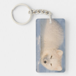 USA, Alaska, Fox Keychain