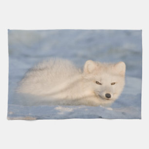 USA, Alaska, Fox Kitchen Towel