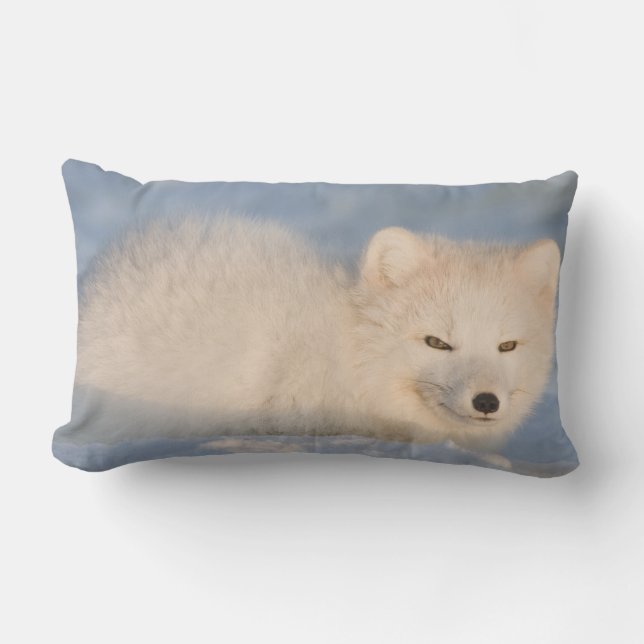 USA, Alaska, Fox Lumbar Pillow (Front)