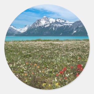 USA, Alaska, Glacier Bay National Park 2 Classic Round Sticker