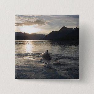 USA, Alaska, Glacier Bay National Park, 2 Inch Square Button