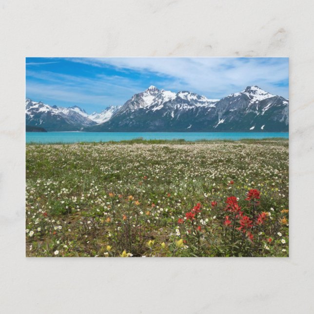 USA, Alaska, Glacier Bay National Park 2 Postcard (Front)