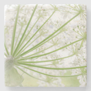 USA, Alaska, Glacier Bay National Park 3 Stone Coaster