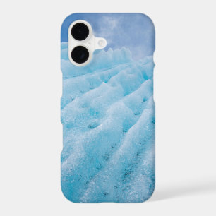 USA, Alaska, Glacier Bay National Park 4