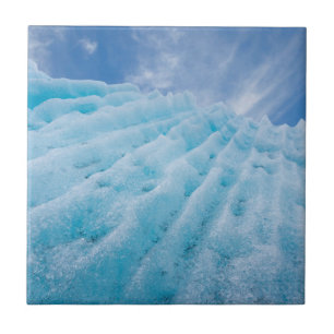 USA, Alaska, Glacier Bay National Park 4 Tile