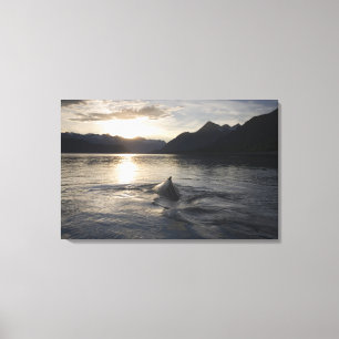 USA, Alaska, Glacier Bay National Park, Canvas Print