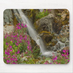 USA, Alaska, Glacier Bay National Park. Fireweed Mouse Pad